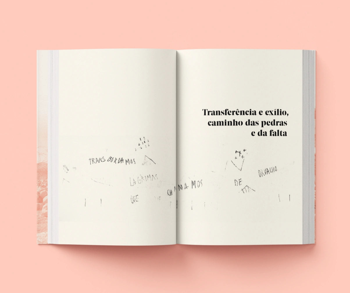 Um diário em aberto: Palestina