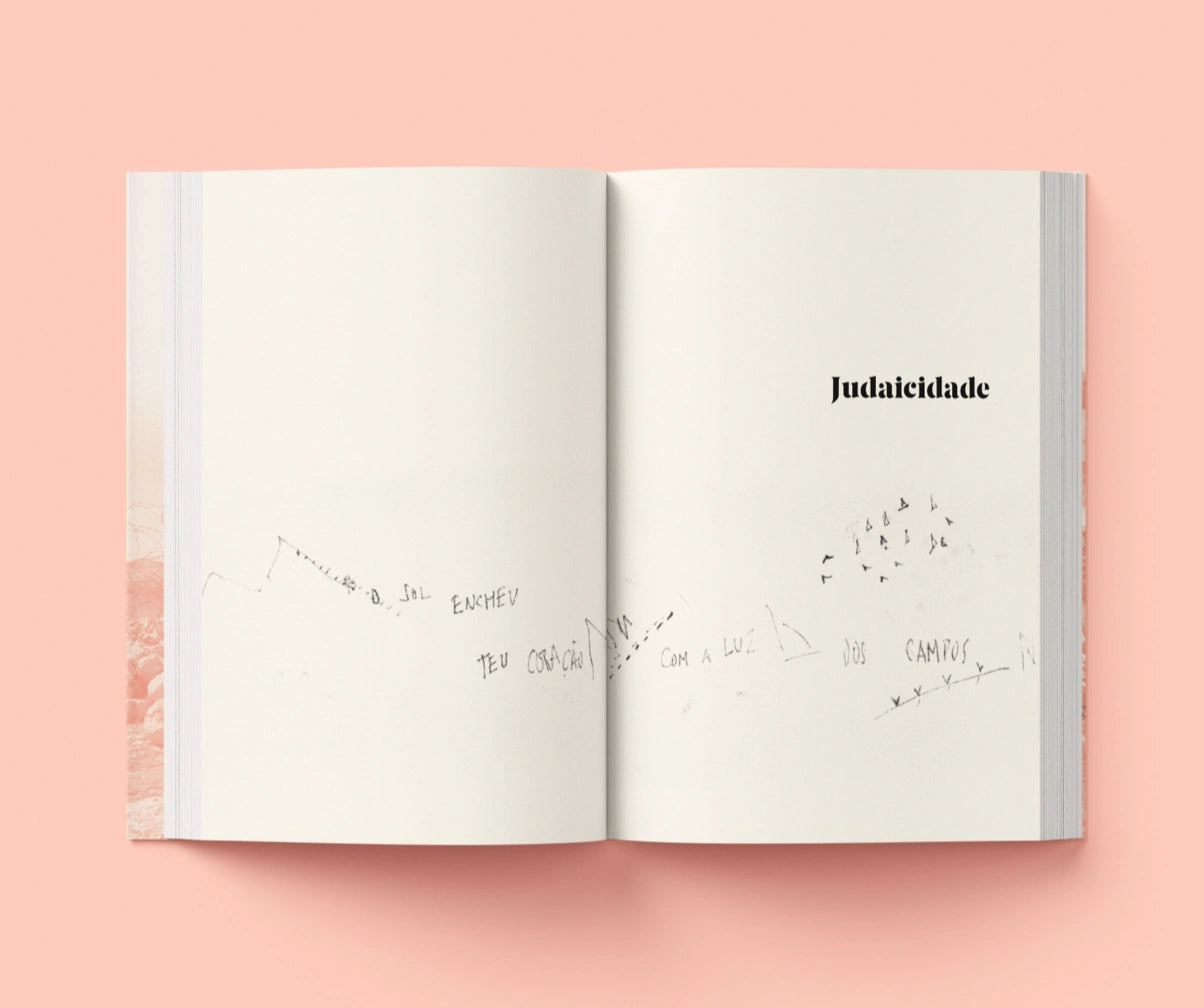 Um diário em aberto: Palestina