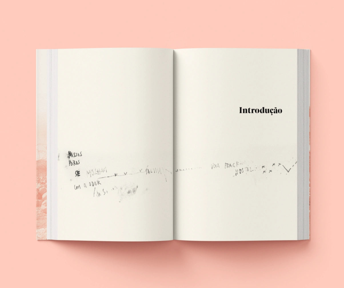 Um diário em aberto: Palestina