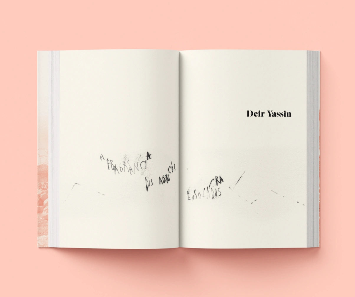 Um diário em aberto: Palestina