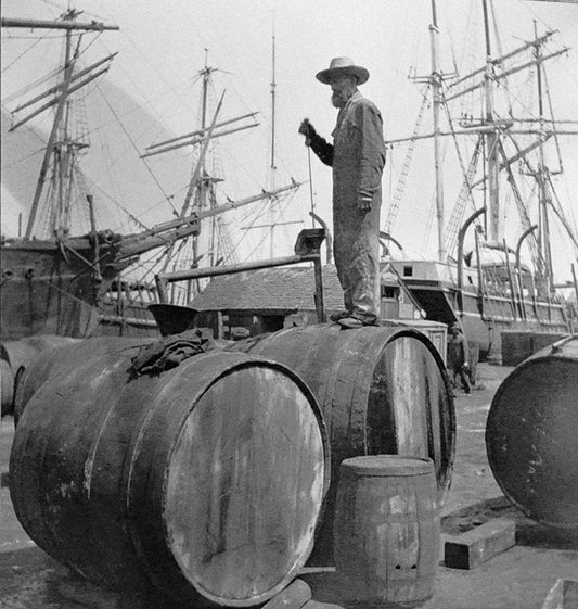 Caçadores de baleias