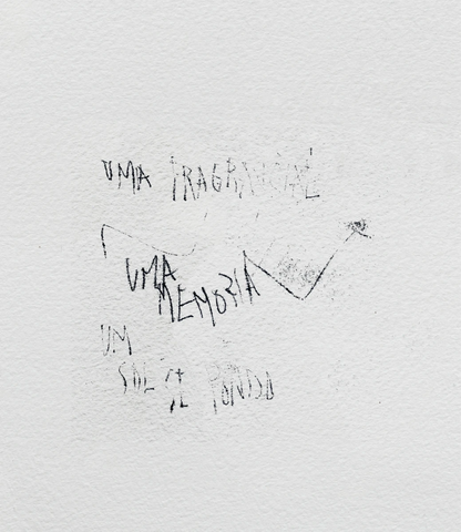 Um diário em aberto: Palestina