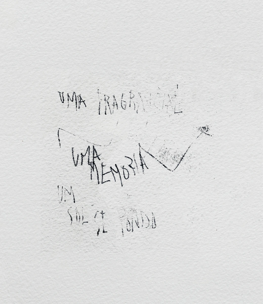 Um diário em aberto: Palestina