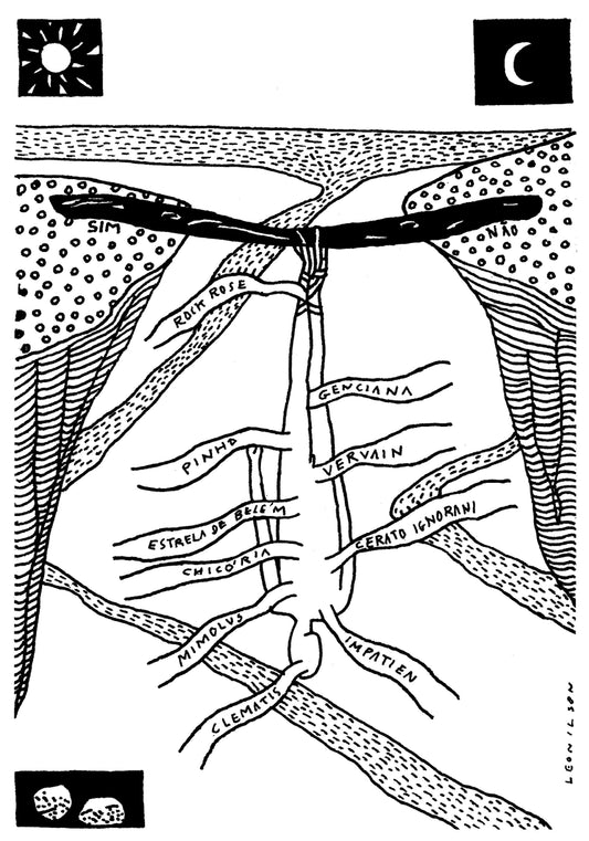 Leonilson - use, é lindo, eu garanto